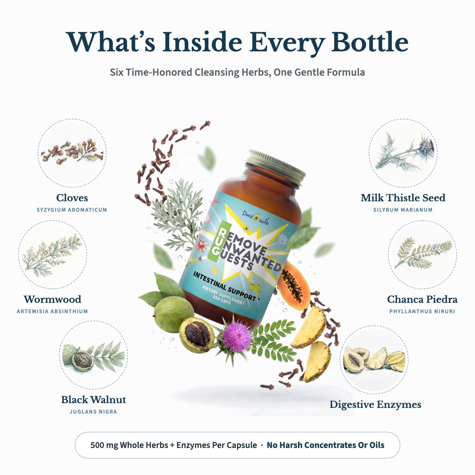 Remove Unwanted Guests (RUG) – Parasite Cleanse detail