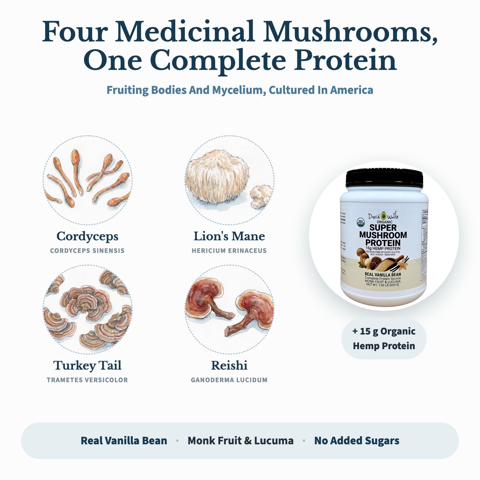 Super Mushroom Protein Powder detail