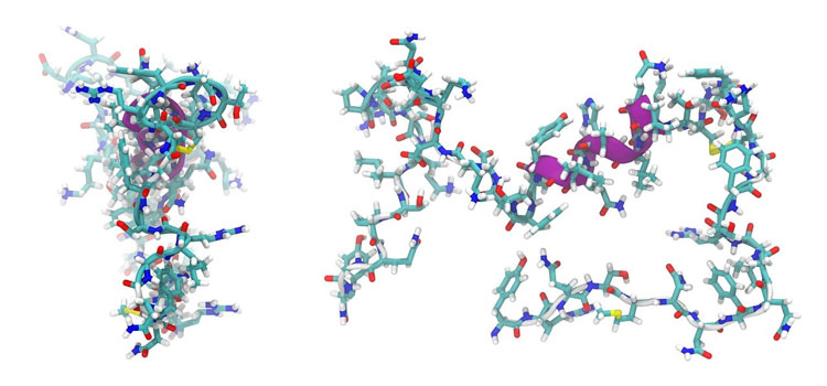 peptides